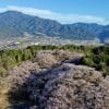 Vallée de Sakura avec vue sur les Alpes japonaises