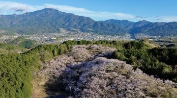 Vallée de Sakura avec vue sur les Alpes japonaises